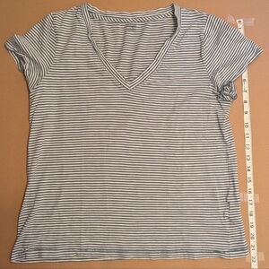 Madewell Blue and White Striped V-Neck Tee